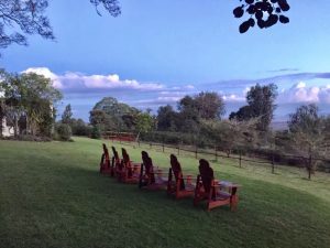 the Manor Lodge Manyara